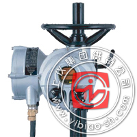 ROTORK 英國羅托克電動執(zhí)行機(jī)構(gòu)